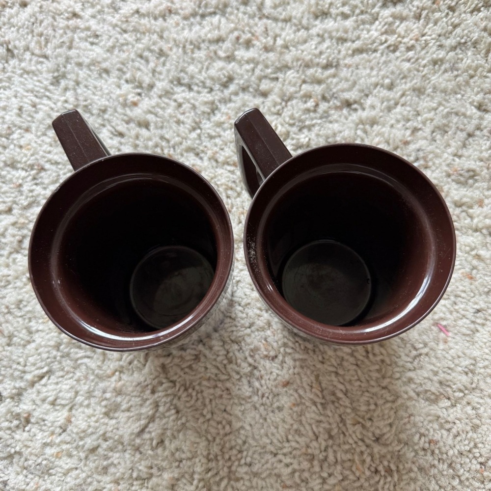 Vintage Flambeau Wildlife Mugs Set 2 Robert J May Raccoon Robin Brown Plastic - Picture 6 of 9